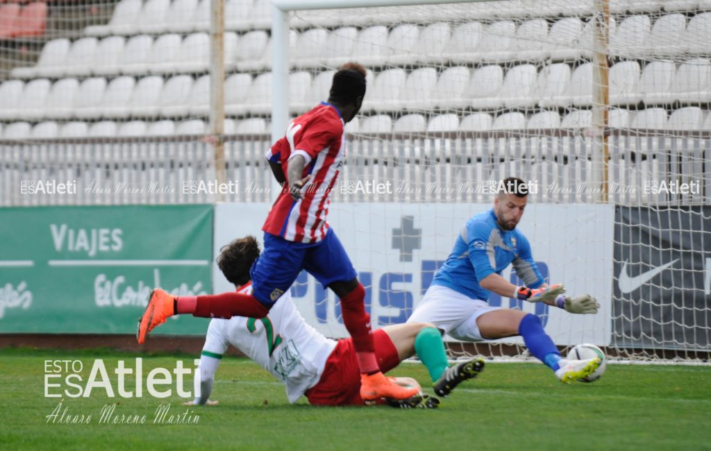 14022016-Amath-Gol-Trival