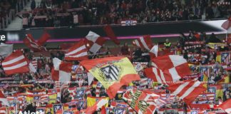 El escudo no se toca