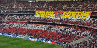 TIFO. Amor Cortés